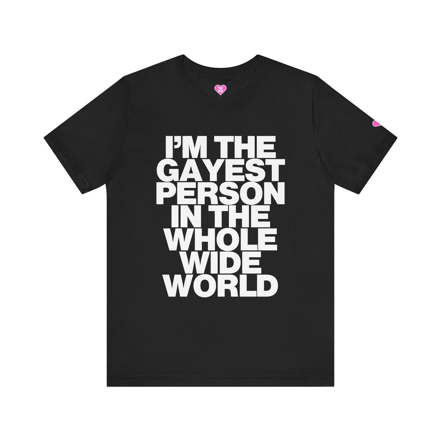 I'M THE GAYEST PERSON IN THE WHOLE WIDE WORLD T-SHIRT